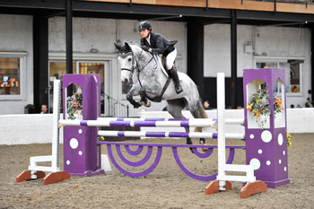 SEIB Winter Novice Championship Qualifier at Morris Equestrian Centre